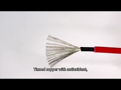 La CC ha valutato il cavo di qualità isolato doppio rosso nero del cavo 4mm2 di PV del pannello solare